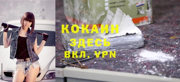 дживик Арсеньев