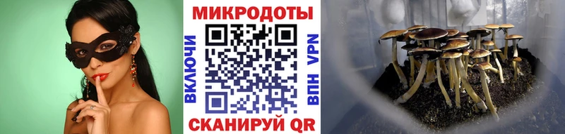 Галлюциногенные грибы мухоморы  купить закладку  Майский 