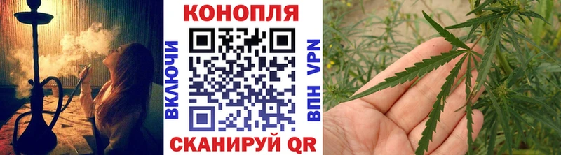 Бошки Шишки гибрид Майский